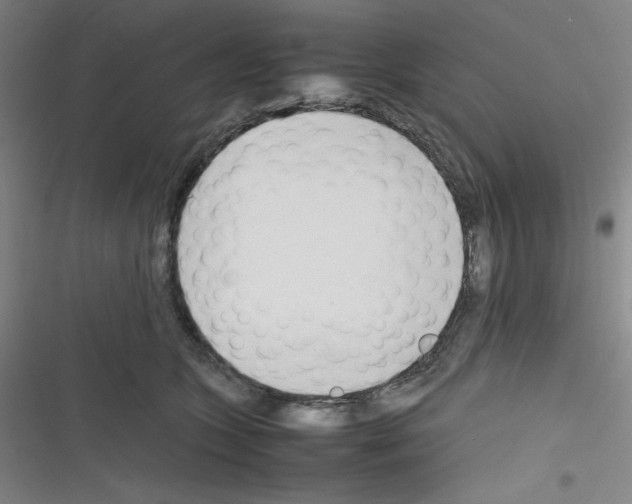 X0000116330563201001131027