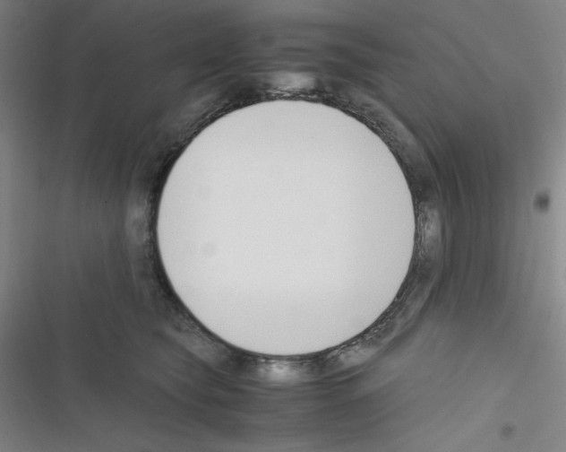 X0000116330565201001131027