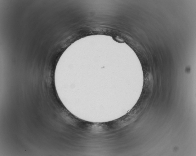 X0000116330566201001131027