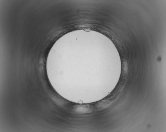 X0000116330567201001131027