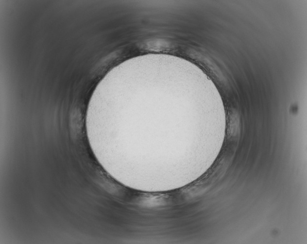 X0000116330569201001131027