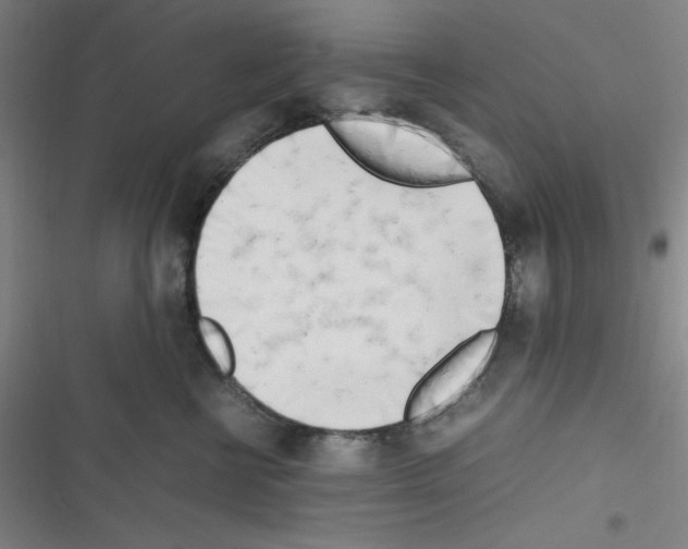 X0000116330570201001131027