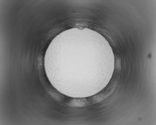 X0000116330571201001131027