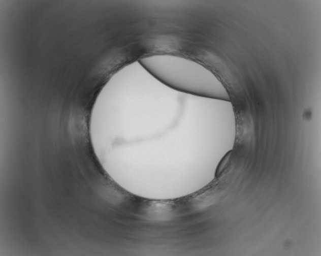 X0000116330573201001131027