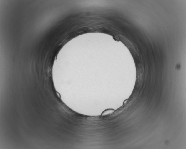 X0000116330574201001131027