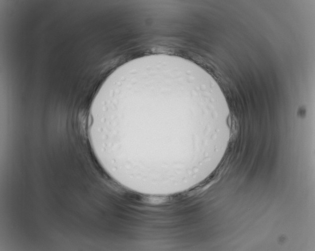 X0000116330575201001131027