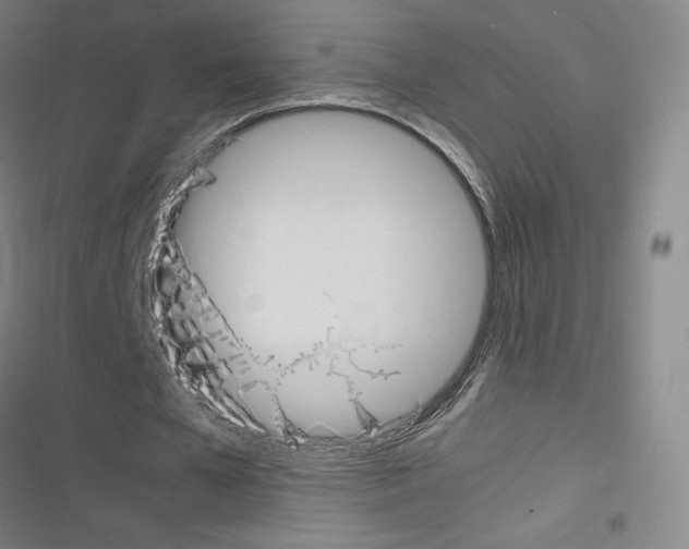 X0000116330577201001131026