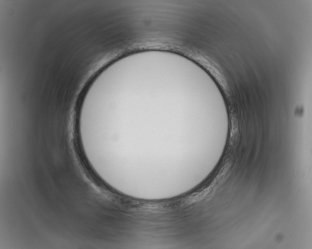 X0000116330578201001131026