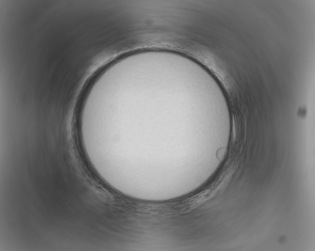 X0000116330579201001131026