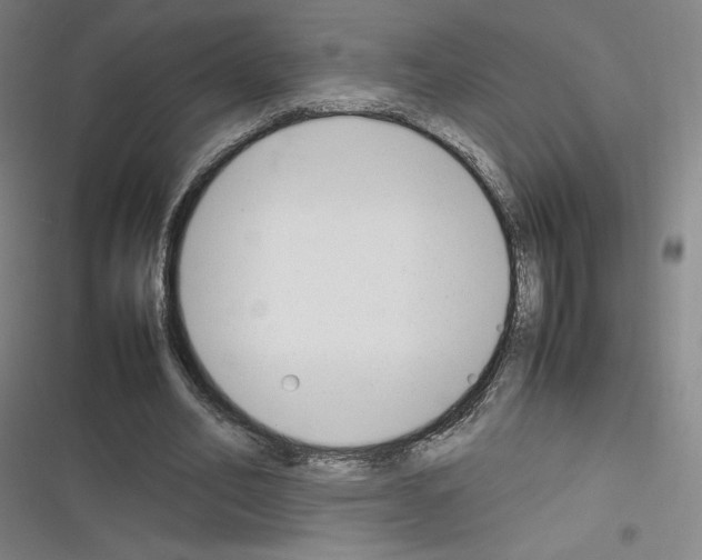 X0000116330582201001131026