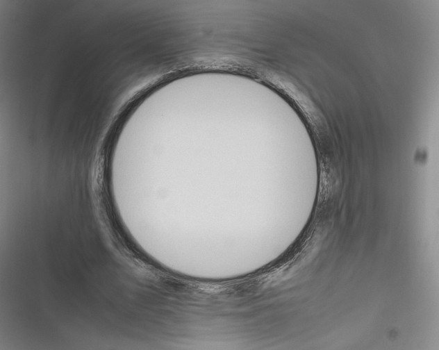 X0000116330583201001131026