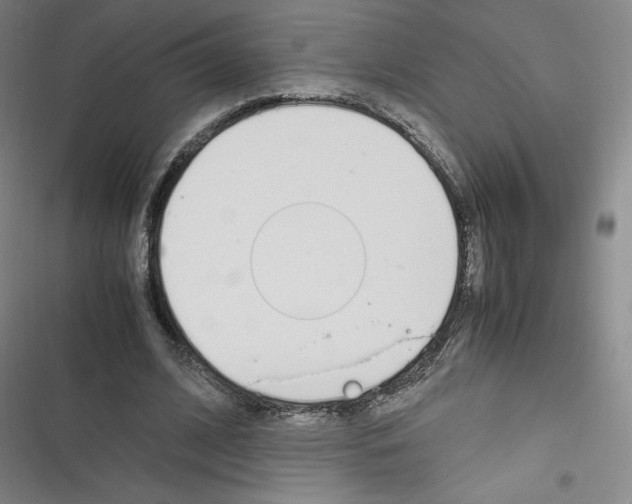 X0000116330584201001131026