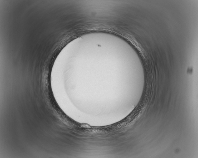 X0000116330585201001131026