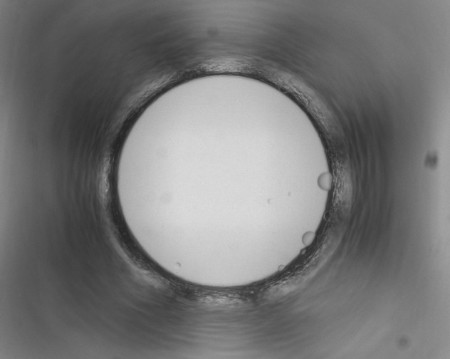 X0000116330586201001131026