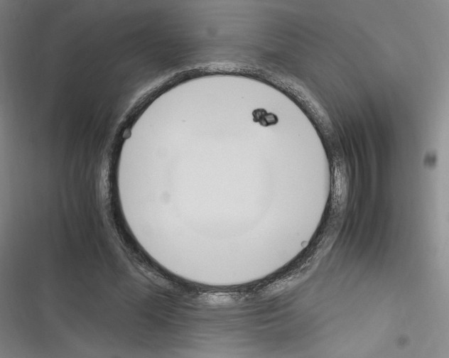 X0000116330588201001131026