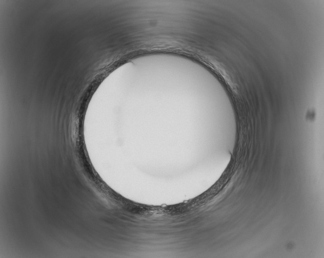 X0000116330589201001131026
