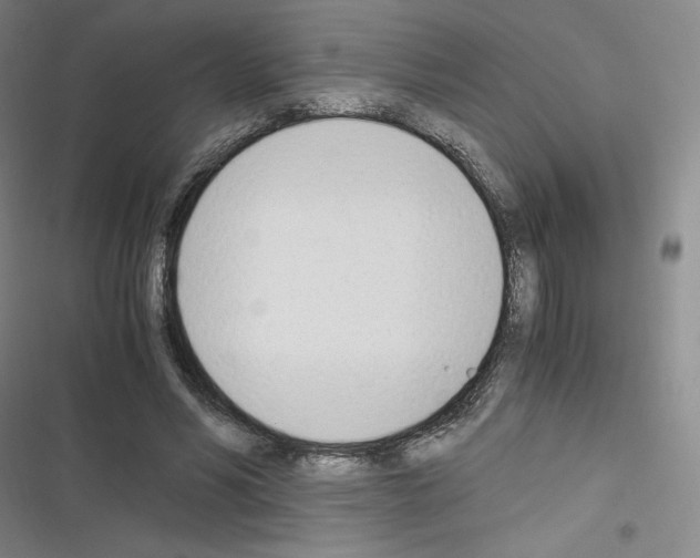 X0000116330590201001131026