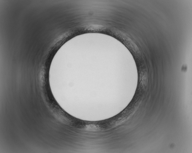 X0000116330591201001131026