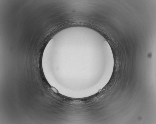 X0000116330595201001131026