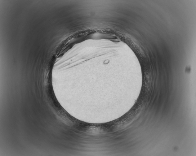 X0000116330596201001131026