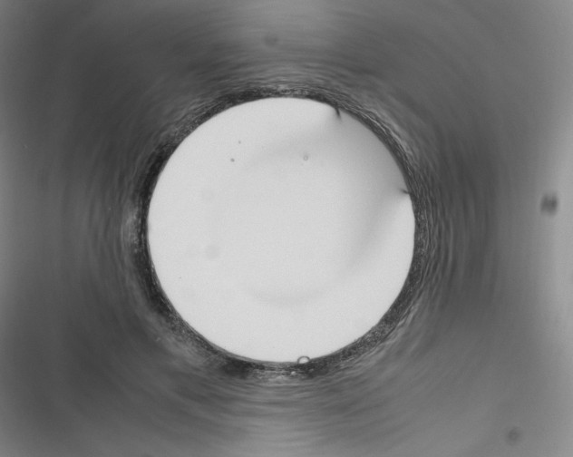 X0000116330597201001131026