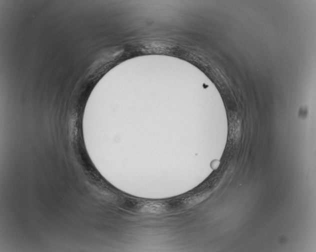 X0000116330599201001131026