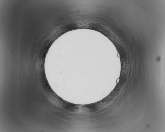 X0000116330601201001131026
