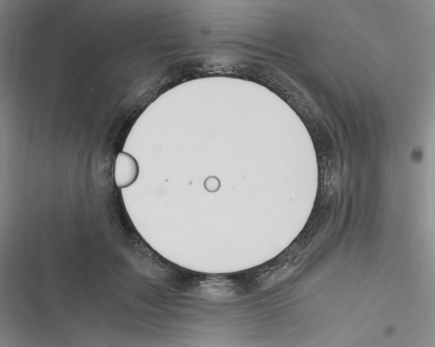 X0000116330603201001131026