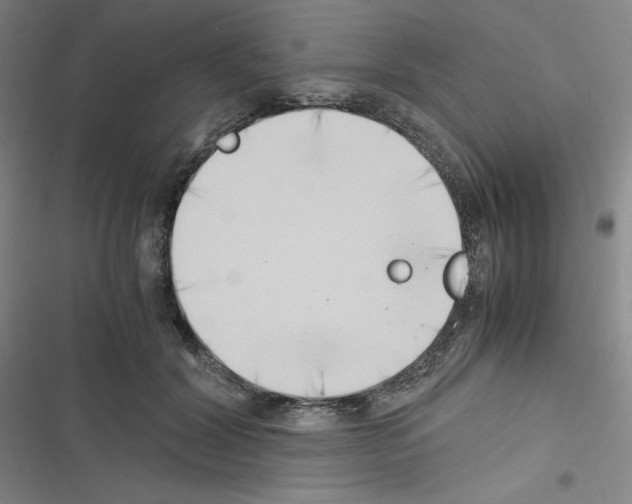 X0000116330604201001131026
