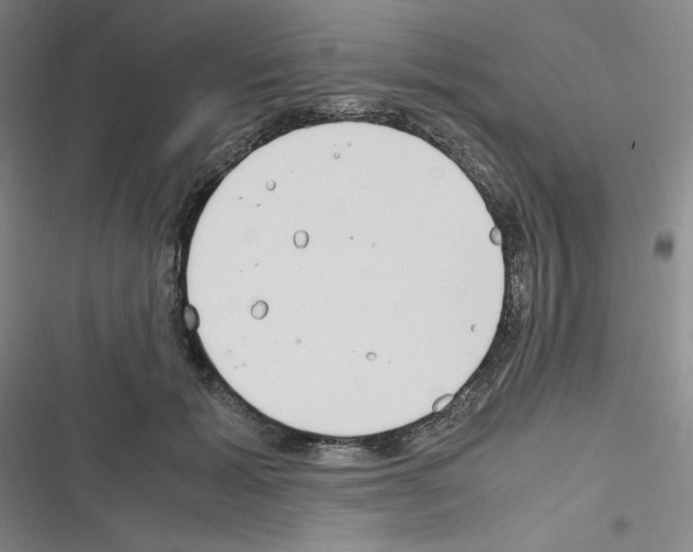 X0000116330605201001131026