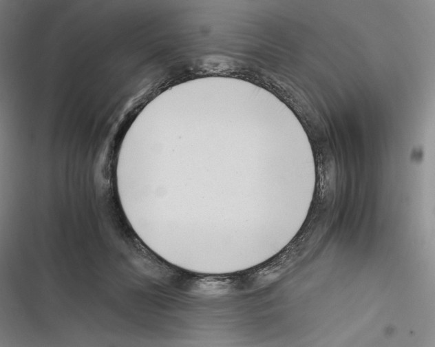 X0000116330606201001131026