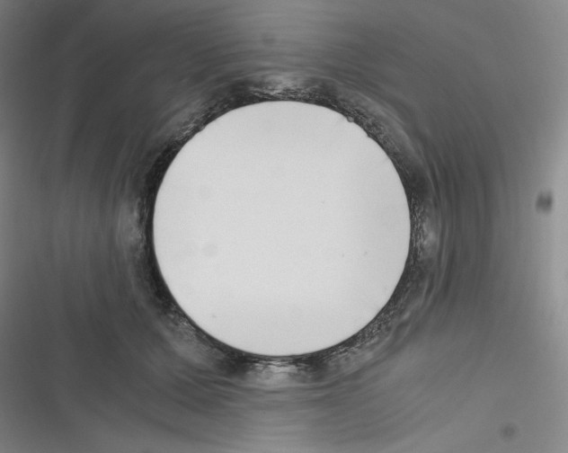 X0000116330607201001131026