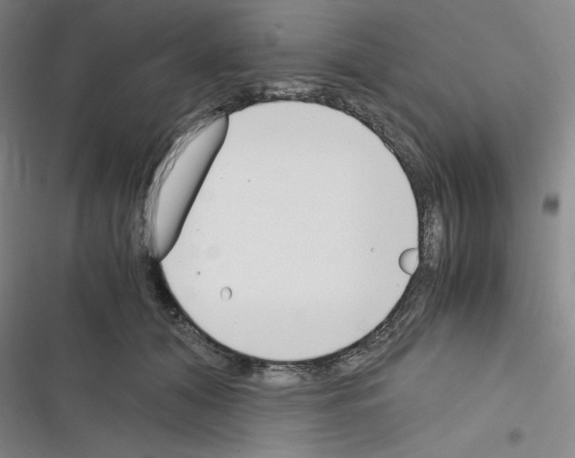 X0000116330608201001131026