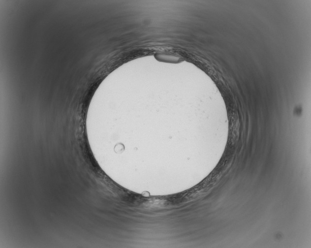 X0000116330609201001131026