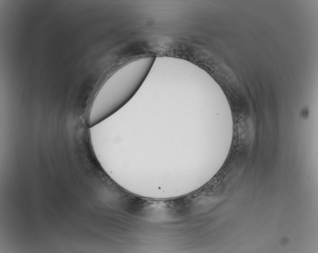 X0000116330611201001131026