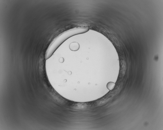X0000116330612201001131026