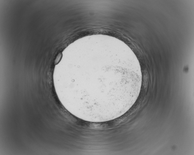 X0000116330613201001131026