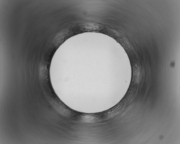 X0000116330614201001131026