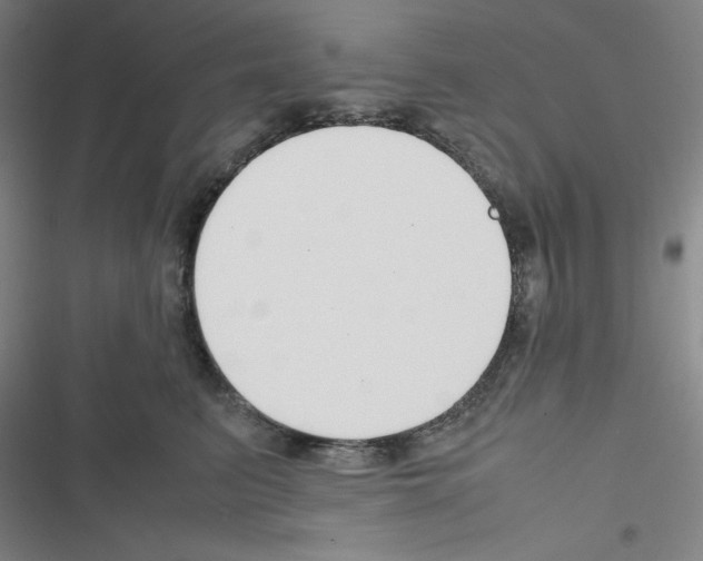 X0000116330615201001131026