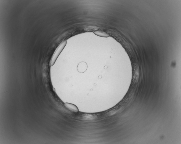 X0000116330616201001131026