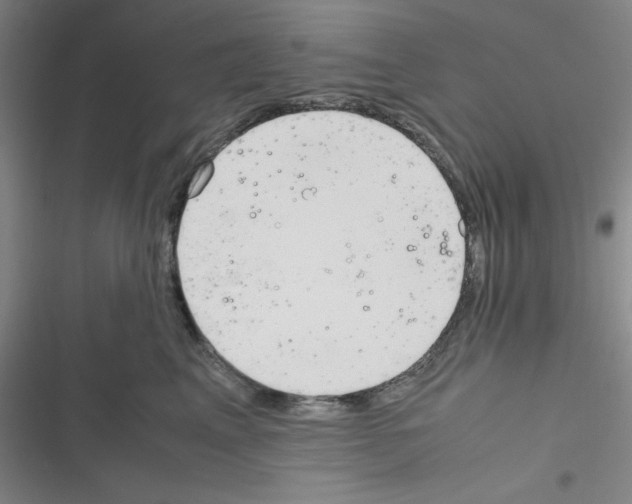 X0000116330617201001131026