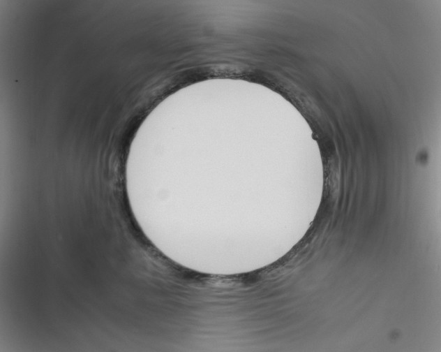 X0000116330619201001131026