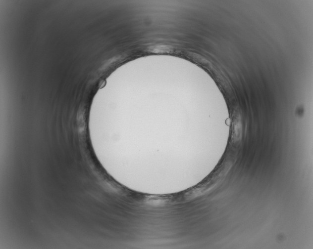 X0000116330620201001131026
