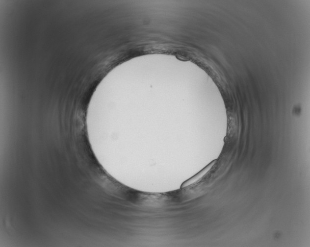 X0000116330621201001131026