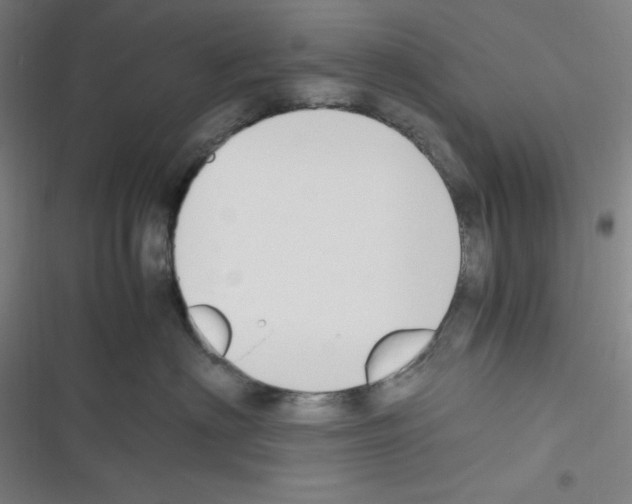 X0000116330622201001131025