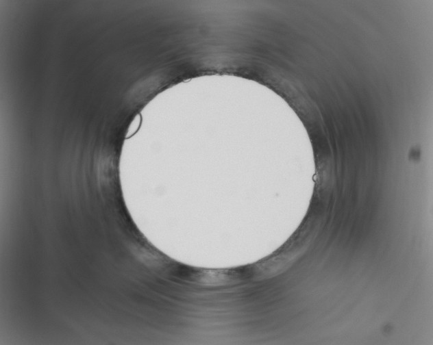 X0000116330623201001131025