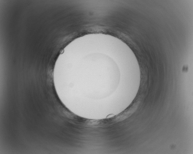 X0000116330624201001131025
