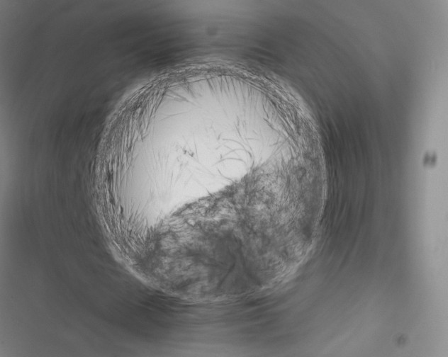 X0000116330625201001131025