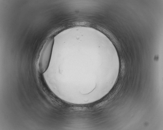 X0000116330626201001131025