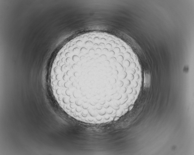 X0000116330627201001131025